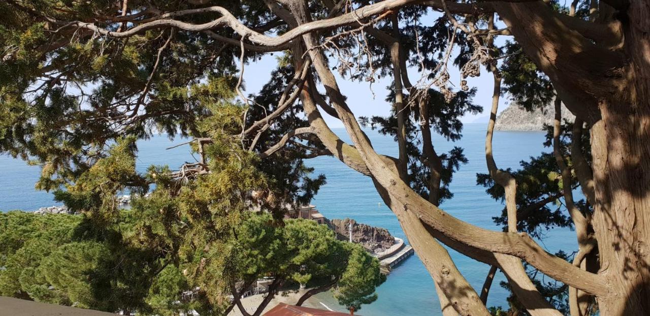 Villa Mare Blu Леванто Екстер'єр фото
